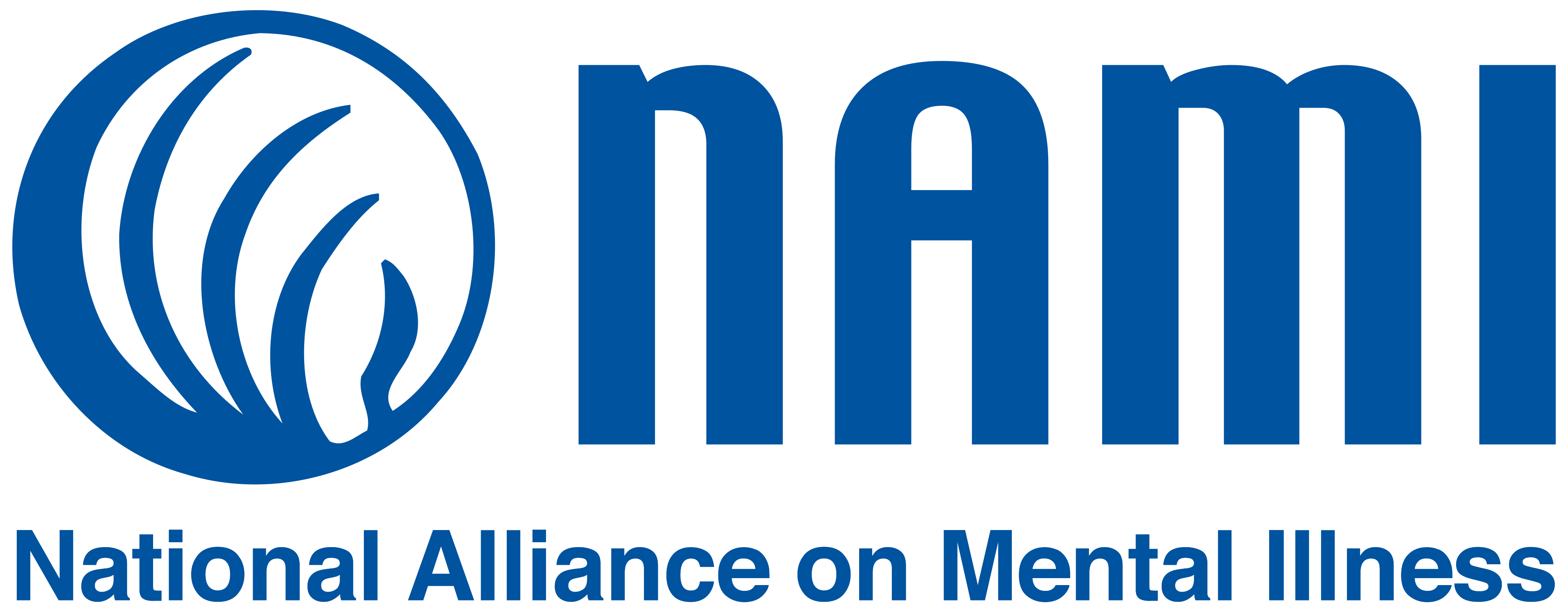 NAMI - Aladdin Equipment community partner